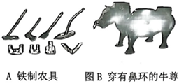德优题库