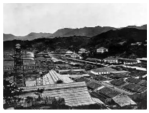 德优题库