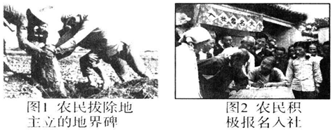 德优题库