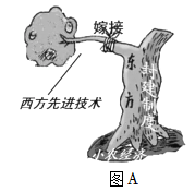 德优题库
