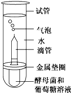 德优题库