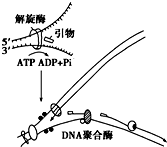 德优题库