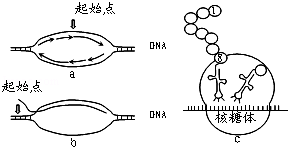 德优题库