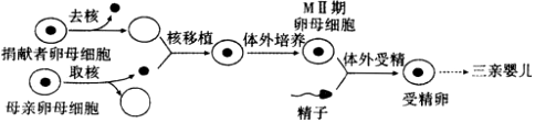 德优题库