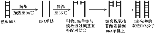 德优题库