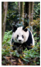 德优题库