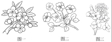 德优题库