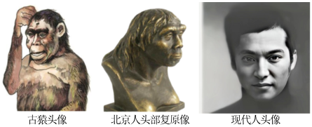 德优题库