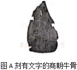 德优题库