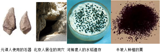 德优题库