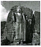 德优题库
