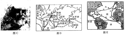 德优题库