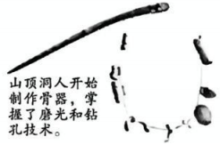 德优题库