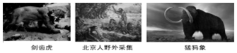 德优题库