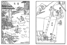 德优题库