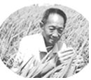 德优题库