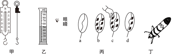 德优题库