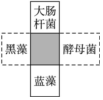 德优题库