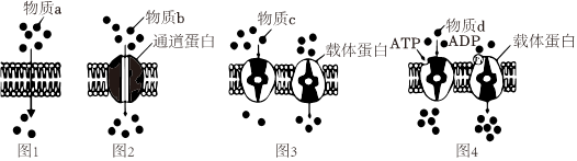 德优题库