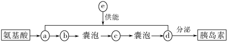 德优题库