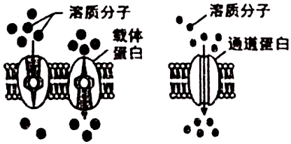 德优题库