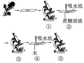 德优题库