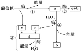 德优题库