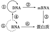 德优题库