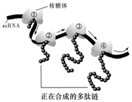 德优题库