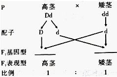 德优题库