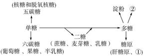 德优题库