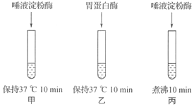 德优题库