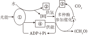 德优题库