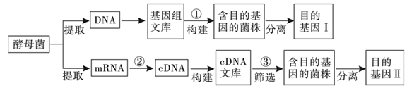 德优题库