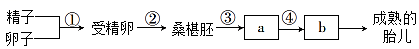 德优题库