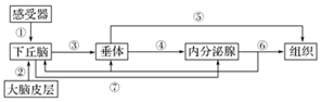 德优题库