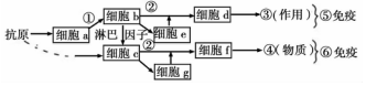 德优题库