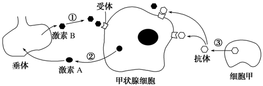 德优题库