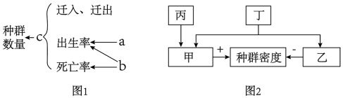 德优题库