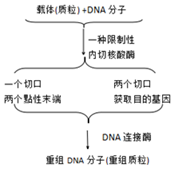德优题库