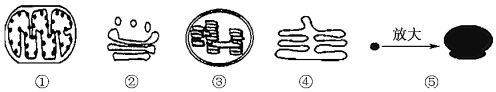 德优题库