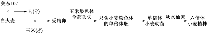 德优题库