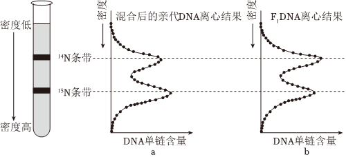 德优题库