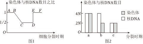 德优题库