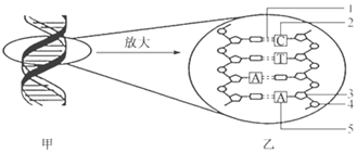 德优题库