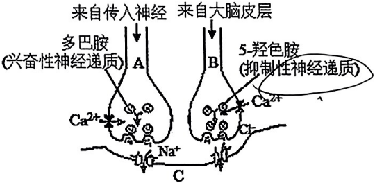 德优题库