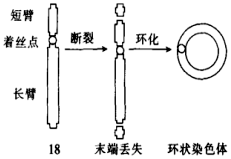 德优题库
