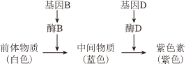 德优题库