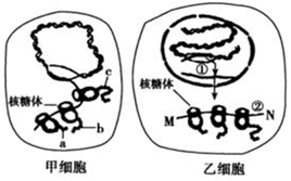 德优题库