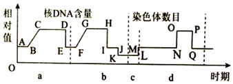 德优题库